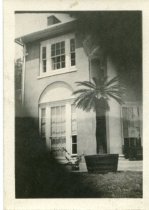 Southside of House with Sago Palm