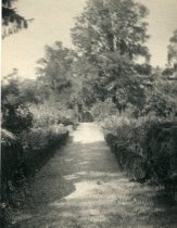 Tudor Place North Gardens Main Path