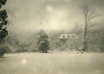 View of Q Street from South Lawn of Tudor Place