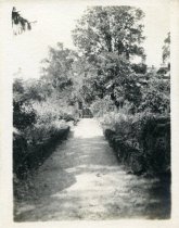 Tudor Place Garden North Center Walk