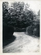 Unidentified Garden Path