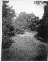 Unidentified Garden Path with Wheelbarrow