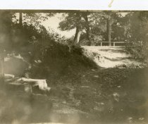 Wooded Area with a Fence
