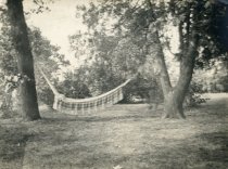 Hammock Hanging Between Two Trees