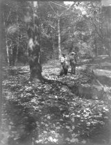 Family Walking in a Forest