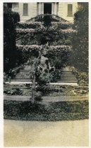 VIlla Carlotta Fountain