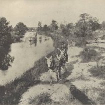Mules on towpath of Miami & Erie Canal
