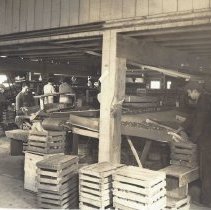 Apple Grading and Sorting