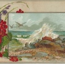 Woolson Spice Company Trade Card