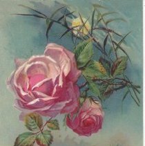 Woolson Spice Trade Card