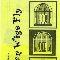 When Wigs Fly program