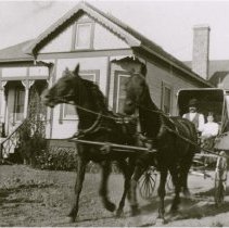 Family on buggy at Scaroni Ranch.