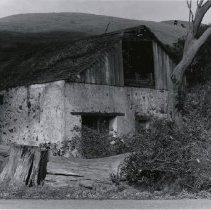 Broken down barn at Cowell Ranch.