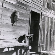 Entrance to a barn at the ranch.