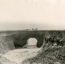 Horses atop Natural Bridges carrying buggies.