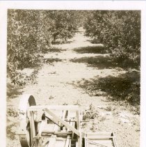 Goodale's fruit and vegetable washer and dryer.