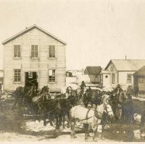 Horses moving Beck's Brewery.