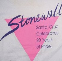 Graphic of the Stonewall Pride shirt.