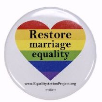Marriage Equality button.