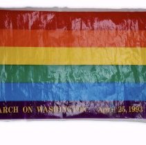 March on Washington flag.