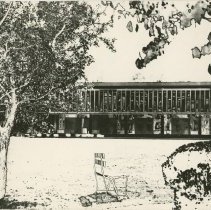 Stylized Version of Dorothy Bell Study Center