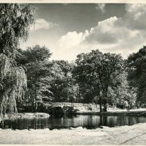 College Pond