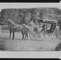 Dr. Nichols, horses and carriage