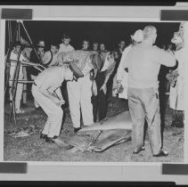 Plane crash, Haverhill, 1964