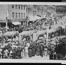 Circus parade with nine elephants, Main Street, Haverhill, ca. 1885