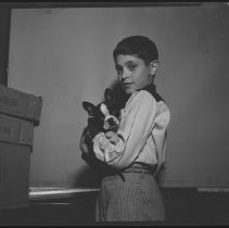 Boy holding Boston Terrier