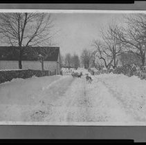 Emery-Marsh House, barn on North Broadway, Haverhill, dogs and sheep