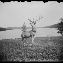 Elk statue, Kenoza Lake, Winnekenni Park, Haverhill