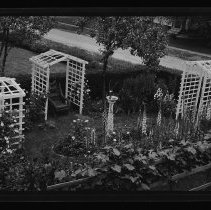 House, garden, Greenleaf Street, Bradford, Haverhill