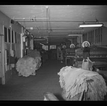 L. H. Hamel Leather Company, measuring skins, Haverhill