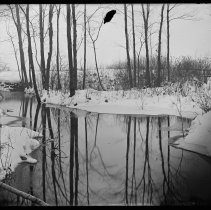 Chadwick's Pond, brook, Bradford, Haverhill