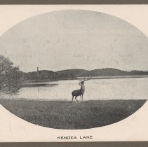 Elk statue, Kenoza Lake, Winnekenni Park, Haverhill