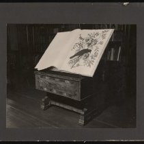 Audubon's "Birds of America," American Crow, Haverhill Public Library, 1948