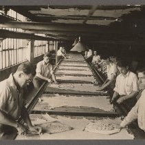 L. H. Hamel Leather Company, nine men working with skins, Haverhill