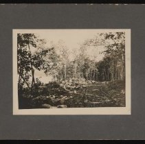 Winnekenni Drive, Winnekenni Park, Haverhill