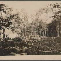 Winnekenni Drive, Winnekenni Park, Haverhill