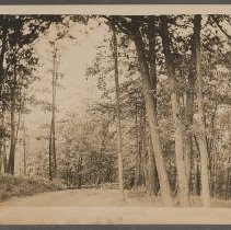 Winnekenni Drive, Winnekenni Park, Haverhill