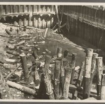 Cutting off wooden piling in preparation for forms, 1937