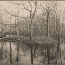 Bradford Academy, Twin Islands in Lake Tupelo