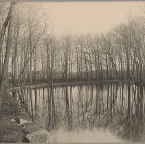 Bradford Academy, Lake Tupelo Grove