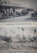 Turpentine Barrels & Miflin Sawmill