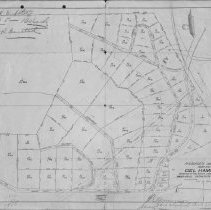 R.N. Burgress Company's Map No. 1 Del Hambre