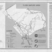 Tilden nature area, Tilden Regional Park.