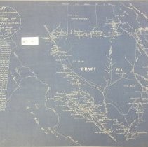 Plat of the Rancho Laguna de Los Palos Colorados
Tract No. 1