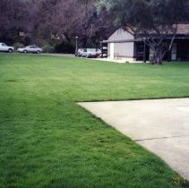 Lawn at Multi-Purpose Room 3