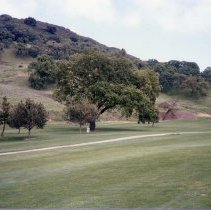 Rossmoor South gold course holes 10 and 11